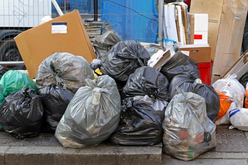 Professional garden clearance service in Croydon removing debris